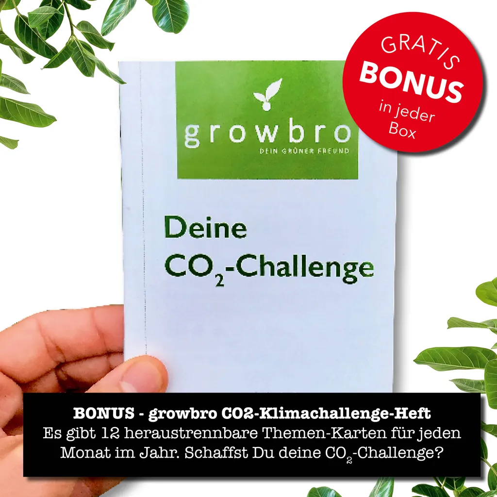 Growbro Hopfen Anzuchtset | Der Weg Zu DEINEM EIGENEN BIER | Das Geschenk Für Männer, Freunde & Papa 6 Growbro Hopfen Anzuchtset | Der Weg Zu DEINEM EIGENEN BIER | Das Geschenk Für Männer, Freunde & Papa – Bild 6