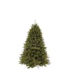 Triumph Tree Forest Frosted Künstlicher Weihnachtsbaum - H155 X Ø119 Cm - Grün