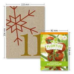 Saatgut Adventskalender Gemüse | Samen Adventskalender Von FLORTUS -Künstliche Weihnachtsbäume das Geschäft 2d4a688ceb507a7638e1cfa7cfe6b074