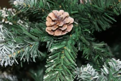 Walexo Künstlicher Weihnachtsbaum Tannenbaum Christbaum Mit LED Und Fernbedienung (180 Cm, Grün Mit Schnee-Effekt) -Künstliche Weihnachtsbäume das Geschäft 4b33307fb8bfa90487a38807f7d542a3