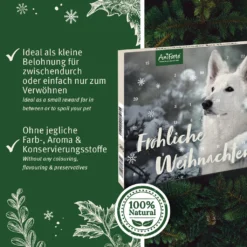 AniForte | Adventskalender Für Hunde 7 AniForte | Adventskalender Für Hunde -Künstliche Weihnachtsbäume das Geschäft 5465f368016decf5662c15d17285052e