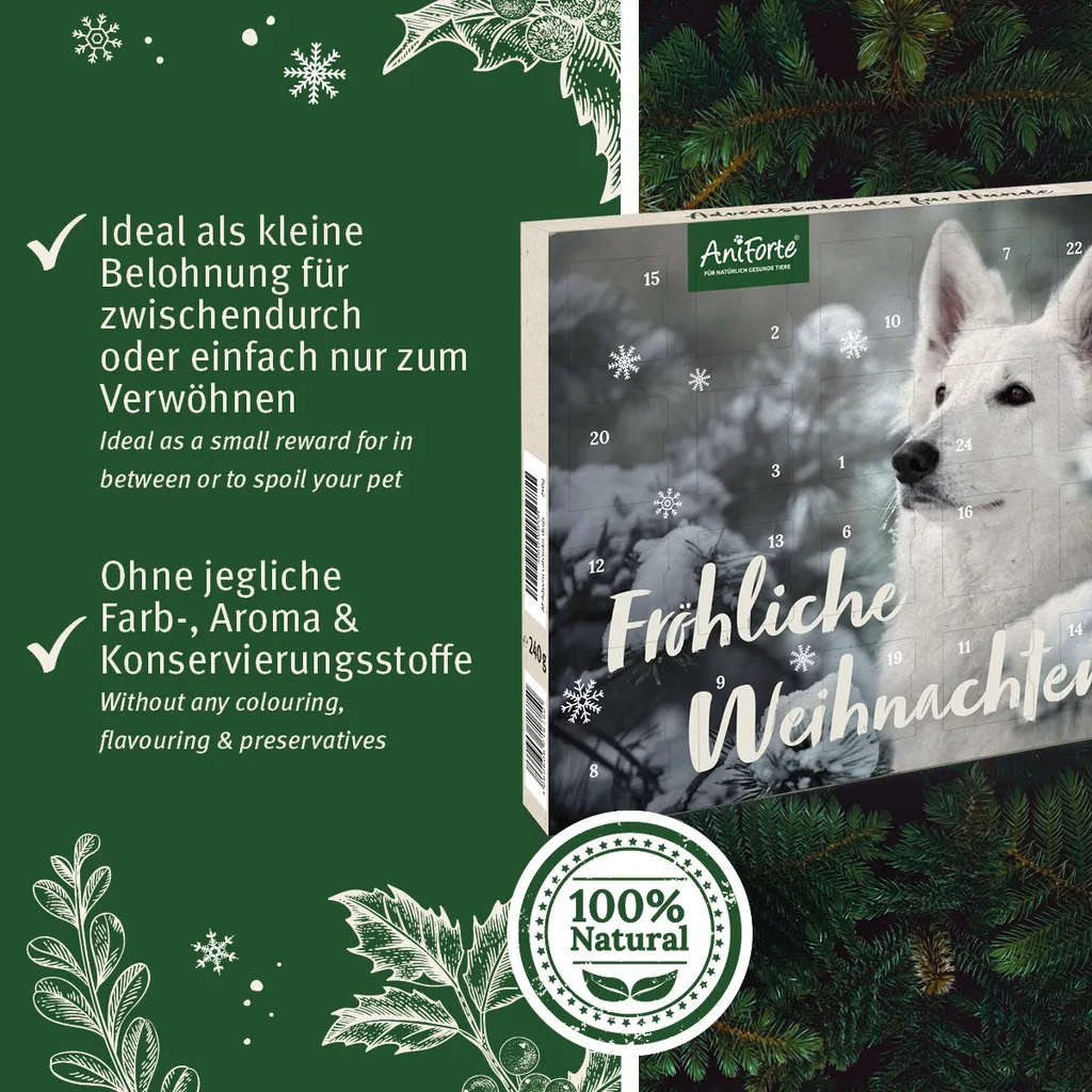 AniForte | Adventskalender Für Hunde 4 AniForte | Adventskalender Für Hunde – Bild 4