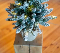 Evergreen Künstlicher Weihnachtsbaum Künstlicher Tannenbaum Kunstschnee LED 90 Cm -Künstliche Weihnachtsbäume das Geschäft 5add19ef3caf86ff4bf6c245af5b112e