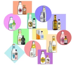 Gin Tonic Adventskalender - 12x Verschiedene Gin Sorten + 12x Verschiedene Tonic Sorten Im Tasting Set Probierset Entdecke Deinen Lieblings Gin & Tonic -Künstliche Weihnachtsbäume das Geschäft 74cdb81798c36593329fb6c6961481ca