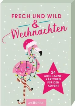 Frech & Wild & Weihnachten. Adventskalender Kartenbox Mit 24 Gute-Laune-Kärtchen Für Den Advent
