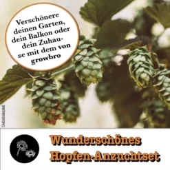 Growbro Hopfen Anzuchtset | Der Weg Zu DEINEM EIGENEN BIER | Das Geschenk Für Männer, Freunde & Papa 12 Growbro Hopfen Anzuchtset | Der Weg Zu DEINEM EIGENEN BIER | Das Geschenk Für Männer, Freunde & Papa -Künstliche Weihnachtsbäume das Geschäft a84816cc27904f23b198fe1ea86886ea