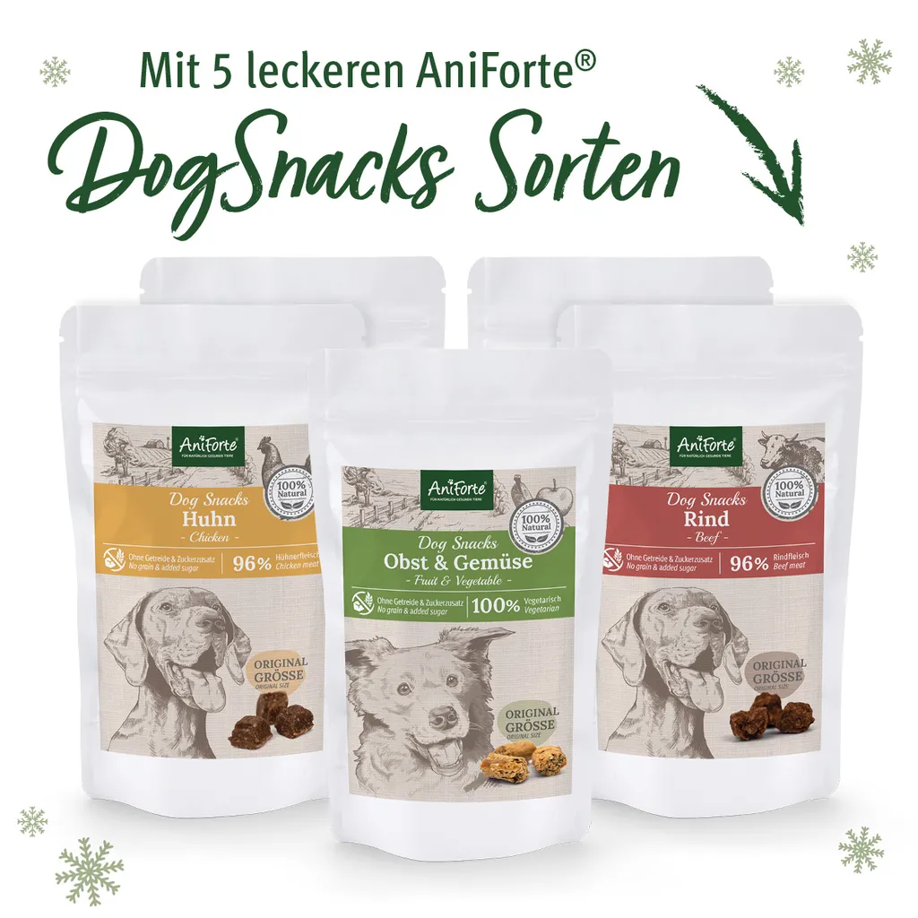 AniForte | Adventskalender Für Hunde 3 AniForte | Adventskalender Für Hunde – Bild 3