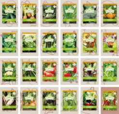 Saatgut Adventskalender Gemüse | Samen Adventskalender Von FLORTUS -Künstliche Weihnachtsbäume das Geschäft b9fc44d3b14cf66c2e076637c34a08a8