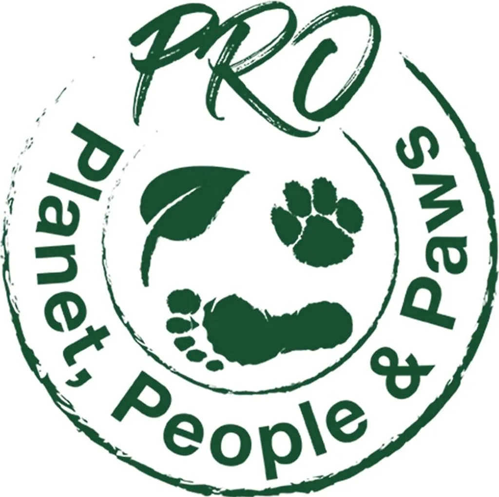 Adventskalender DIY Beauty Surprises - Makeup Advent Calendar 7 Adventskalender DIY Beauty Surprises - Makeup Advent Calendar – Bild 7