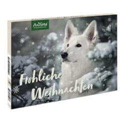 AniForte | Adventskalender Für Hunde