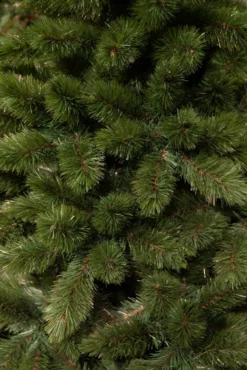 Triumph Tree Tsuga Künstlicher Weihnachtsbaum - H185 X Ø109 Cm - Grün -Künstliche Weihnachtsbäume das Geschäft c2673c32a57a5df5c5b58db42aa7b423