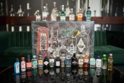 Gin Adventskalender Tasting - 24 Verschiedene Gin Miniaturen Im Adventskalender Probierset - Entdecke Deinen Lieblings Gin