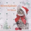 Katzenspielzeug Adventskalender Für Katzen Weihnachten