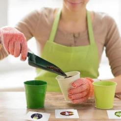 BIO Saatgut & Samen Adventskalender 2022 Mit 24 Verschiedenen Gemüsesorten - Nachhaltiger Weihnachtskalender Ideal Als Geschenk Für Hobbygärtner -Künstliche Weihnachtsbäume das Geschäft d25bf21ce30a0cfe62e113e47021e182