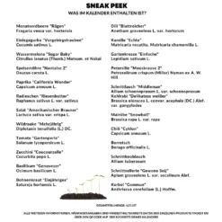 Saatgut Adventskalender Für Gärtner Zum Einsäen I 24 Leckere Sorten Gemüse, Kräuter Und Obst Für Den Garten I Geschenkset Gärtner Saat Zum Verschenken Kalender 2022 -Künstliche Weihnachtsbäume das Geschäft fd740b40ceafcc70c4f416e49ac50371