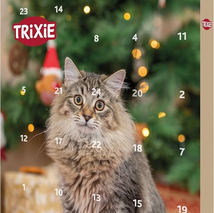 Künstliche Weihnachtsbäume das Geschäft -Künstliche Weihnachtsbäume das Geschäft 71KJTXeuj6L. UF10001000 QL80 1 e1759921823908